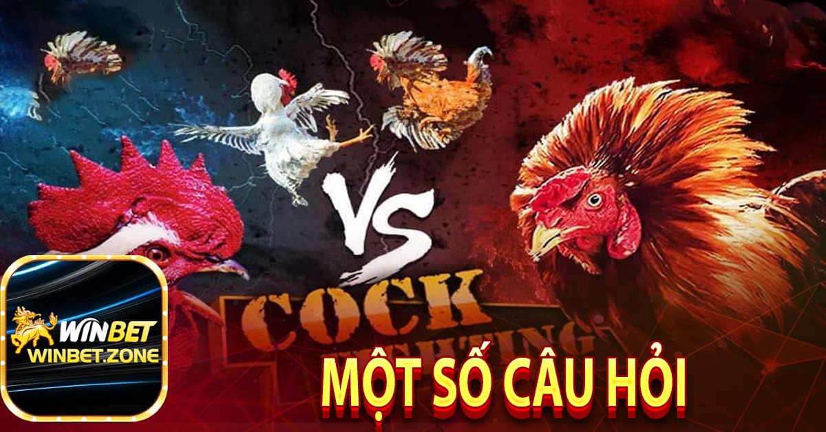 Một số câu hỏi 